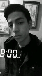 alexarmendariz99