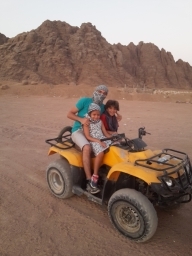 ameeralshamy