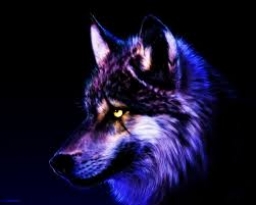 emmawolf3