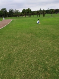 gushaotong
