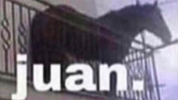 juanzehorsememe