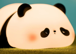 baiyao