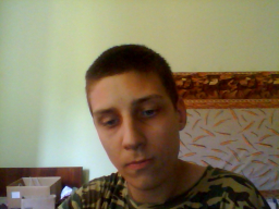 denis239
